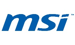 msi logonews