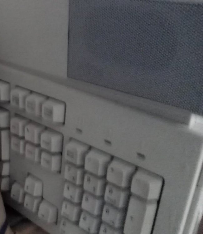 IMG-20191114-WA0003 2.jpg