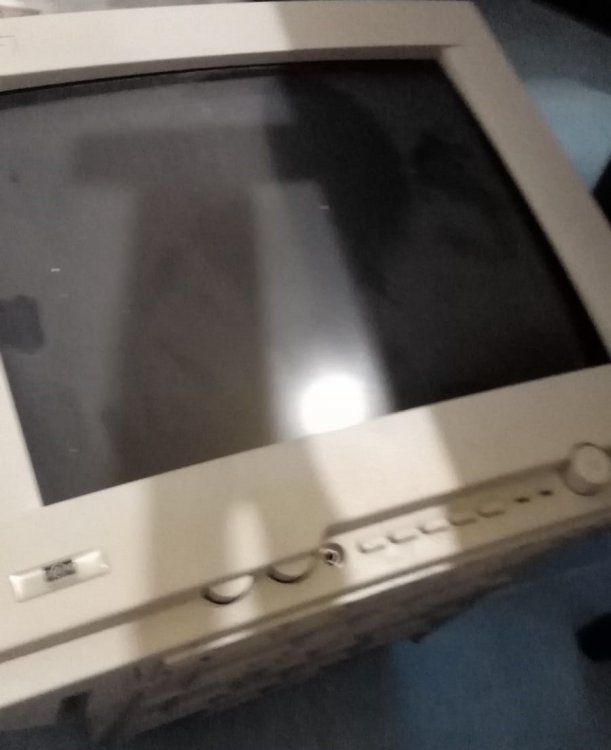 IMG-20191114-WA0004 3.jpg