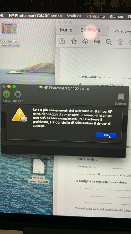 WhatsApp Image 2020-11-17 at 19.41.48.jpeg