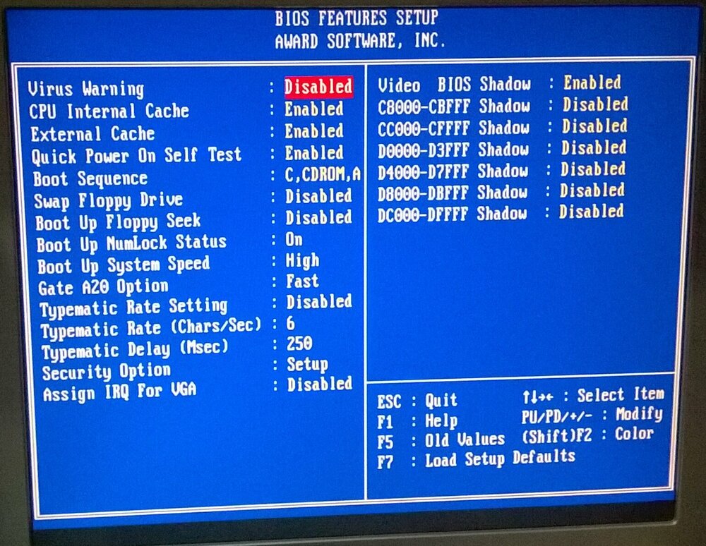 WP_20210207_09_35_27_Pro ---.jpg