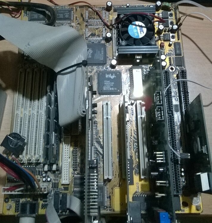 WP_20210207_12_26_09_Pro ---.jpg