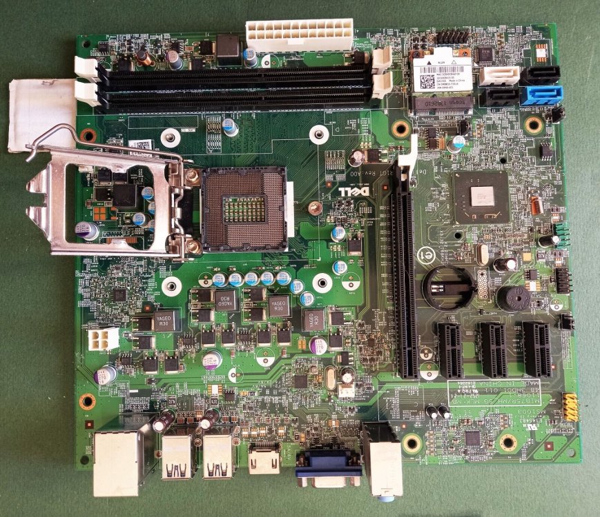 l schede madri dell.jpg