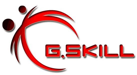 G.Skill Logo