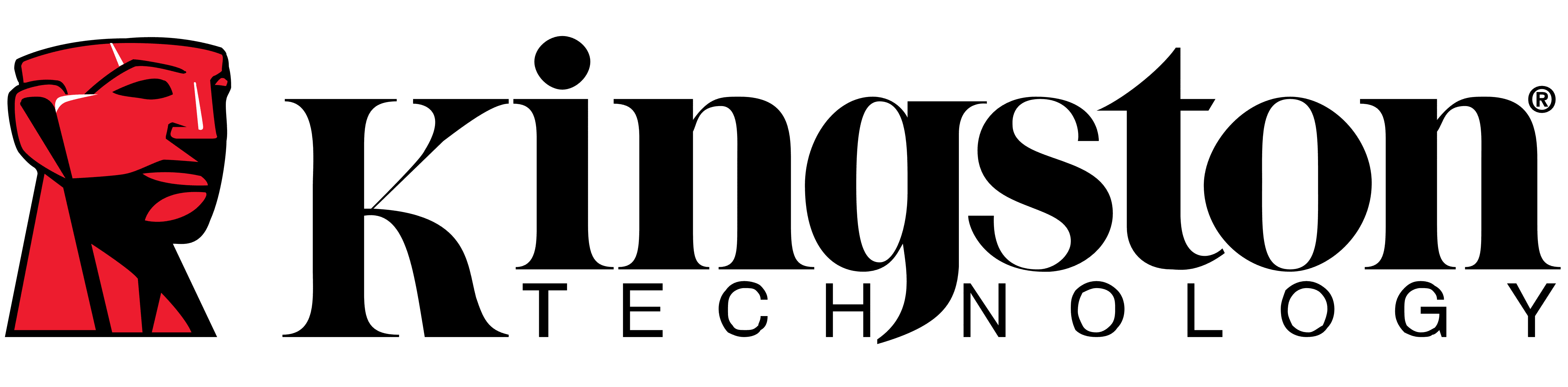 Kingston logo 2d429